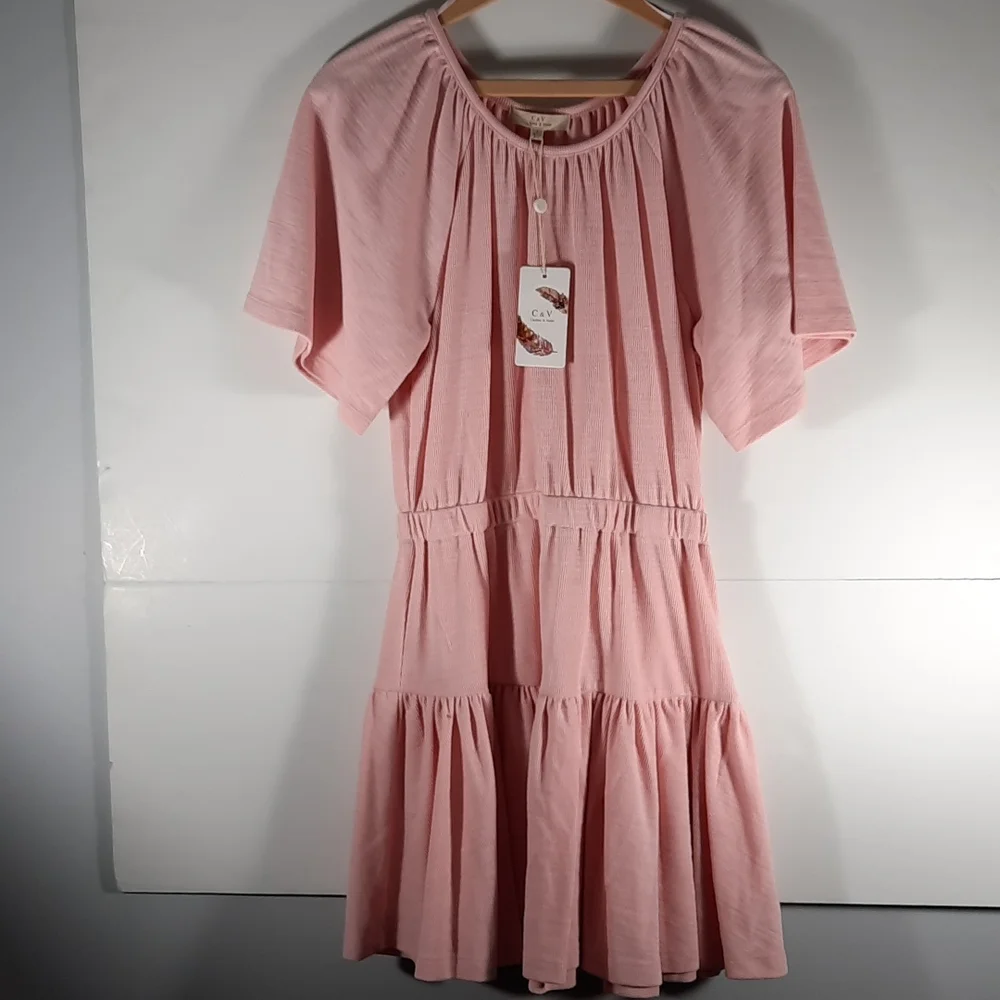 NWT Chelsea & Violet Blush dress Sz S - Picture 1 of 11